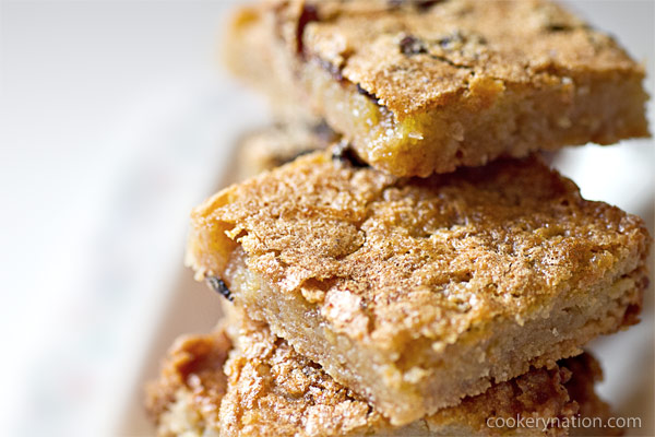 OMG Butter Tart Squares