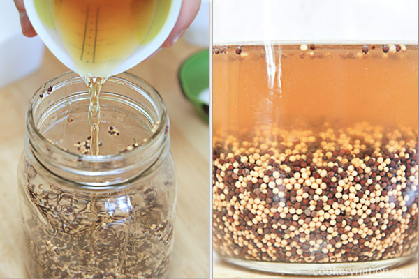 Add the apple cider vinegar to the jar. And wait. Let the jar sit on the counter for 8-48 hours.