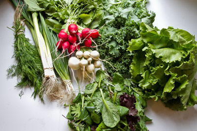 CSA Storage Strategies