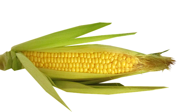 Common Corn Products