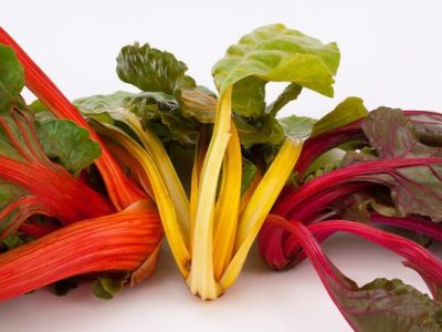 What Is Chard?