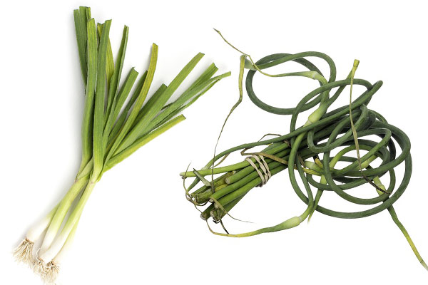 Green Garlic vs Garlic&nbsp;Scapes