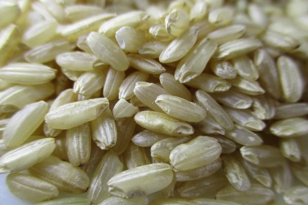 Different Types of&nbsp;Rice