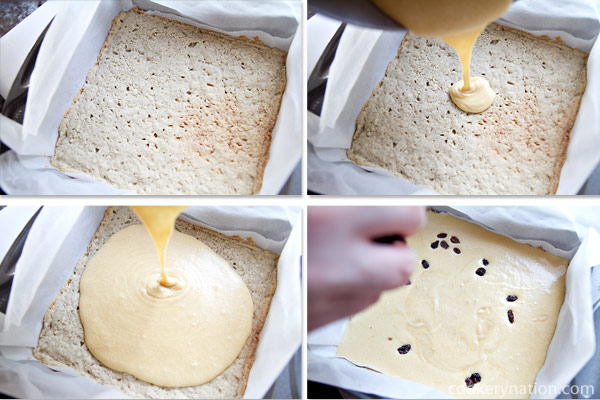 OMG Butter Tart Squares