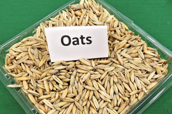 Understanding Oats