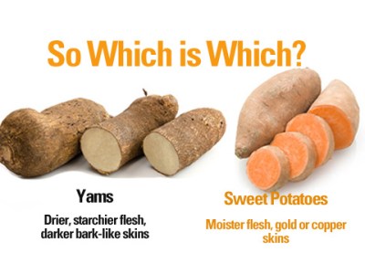 Yam versus Sweet Potato versus&nbsp;Potato
