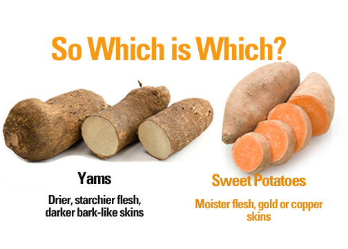 Yam versus Sweet Potato versus&nbsp;Potato