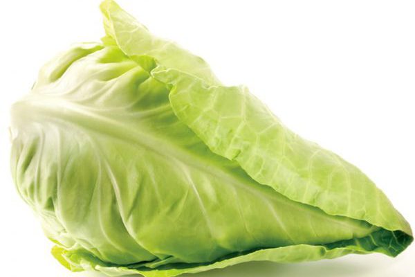 What is Pointy&nbsp;Cabbage?