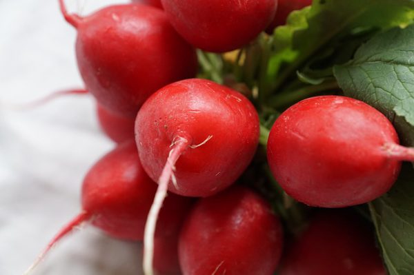All About Radishes