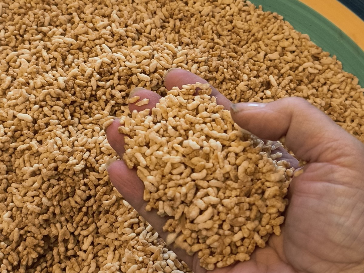 Homemade “Rice Krispies”