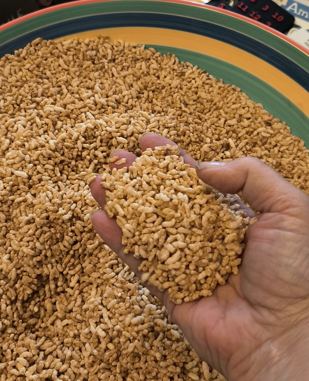 Homemade “Rice Krispies”